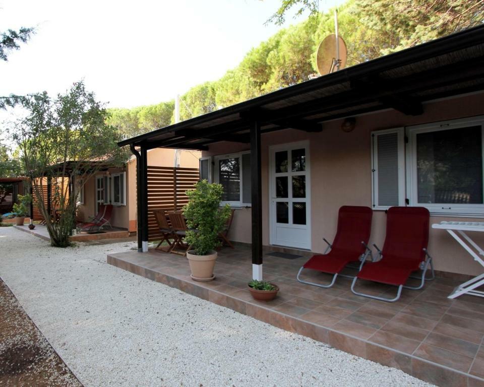 Bungalow Comfort 100 M From The Beach Premantura Dış mekan fotoğraf