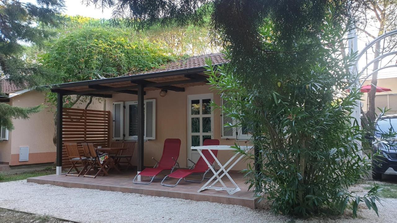 Bungalow Comfort 100 M From The Beach Premantura Dış mekan fotoğraf